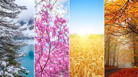 Landscape of the Four Seasons A Masterful Blend of Natural Beauty and Symbolic Depth!